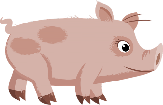 国内猪价行情疯狂上涨，生猪高价行情可能要持续3-5年！