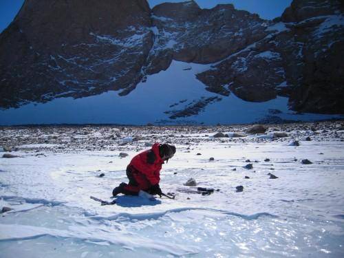 极地探路者韦利杰，“中国玫瑰”于南极风雪之中绽放
