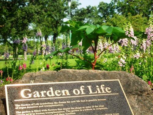 雀巢Garden of Life倡导自然原生力，引领健康生活新主张