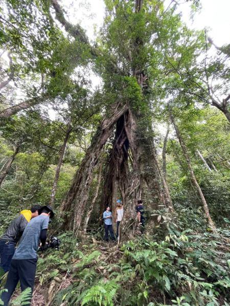 老师们在热带雨林搜索时间超过100个小时
