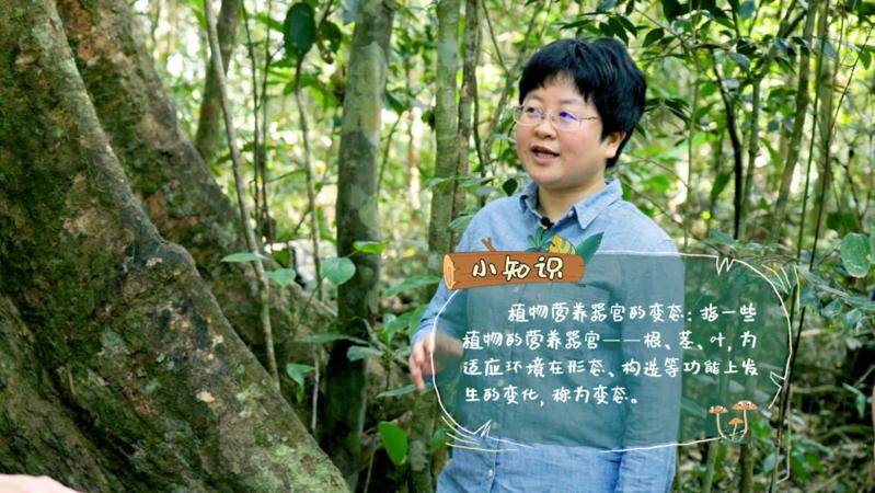 中科院植物学博士程瑾老师现场讲解热带雨林现象